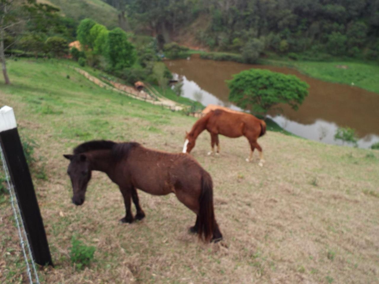 Estrela Da Serra Fazenda Santo Antônio do Pinhal