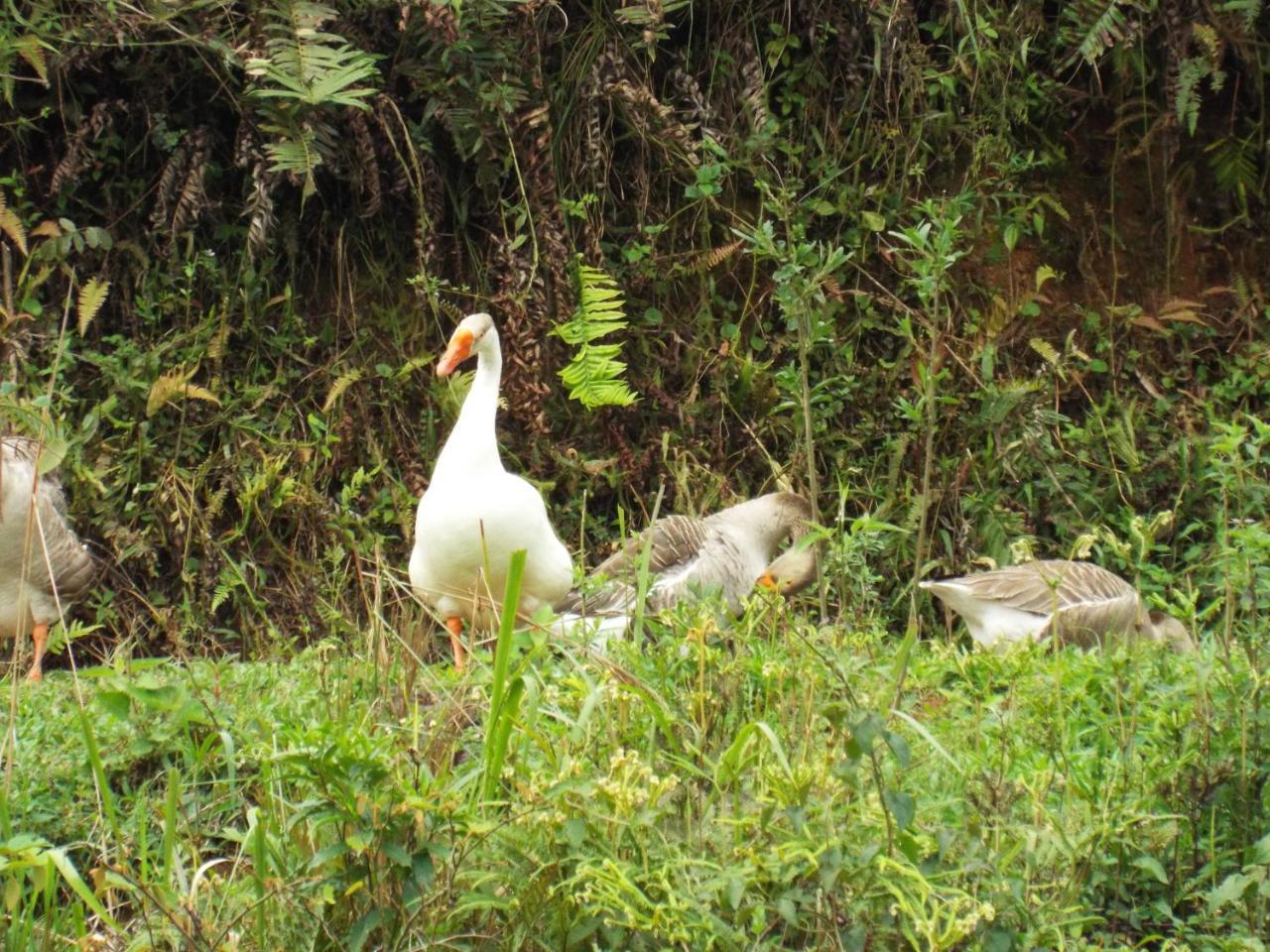 Estrela Da Serra Fazenda 3*