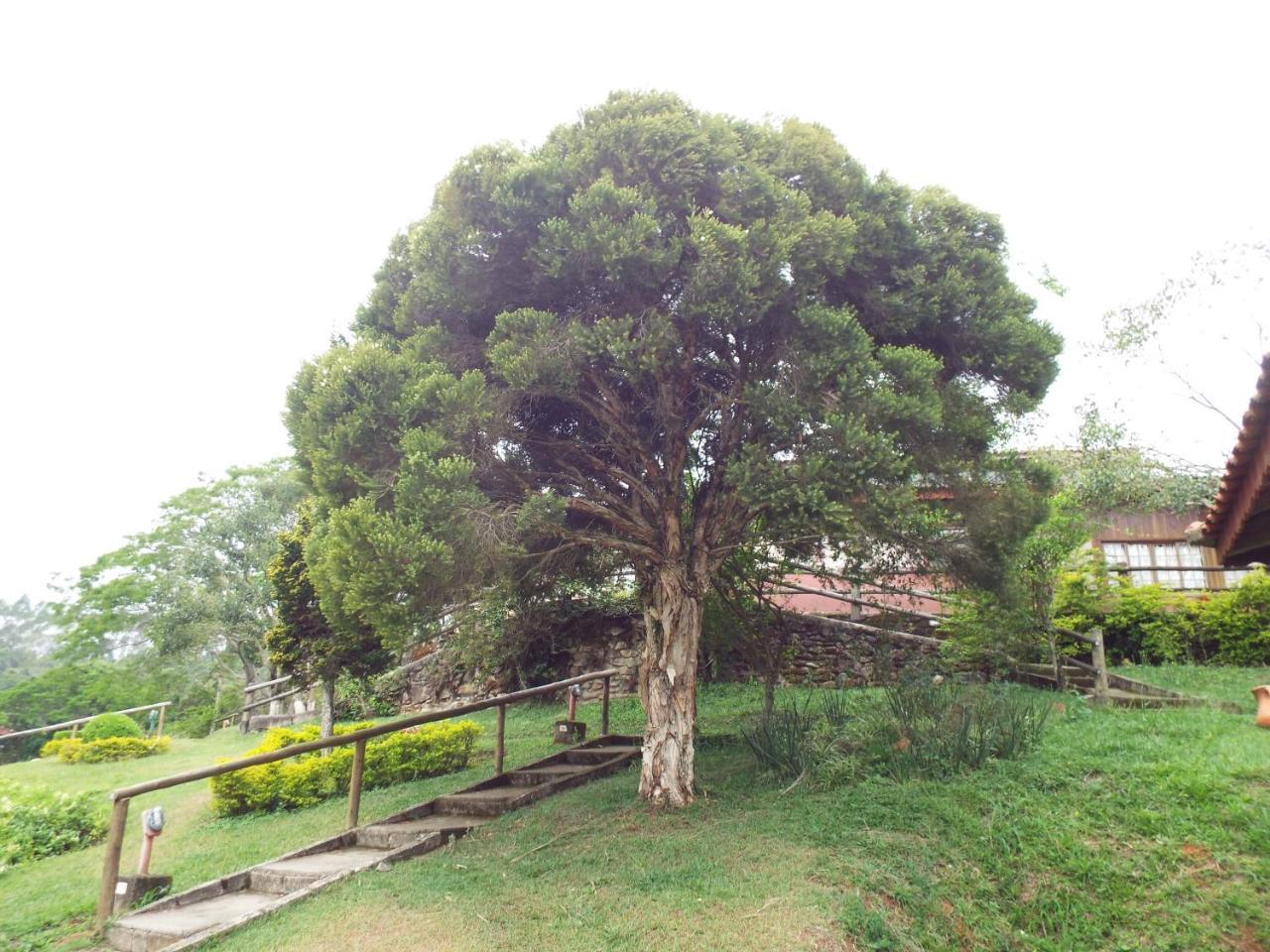 Estrela Da Serra Fazenda Hotel Santo Antônio do Pinhal